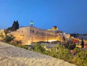 IMG 20250526 200039 - The Crossover Project