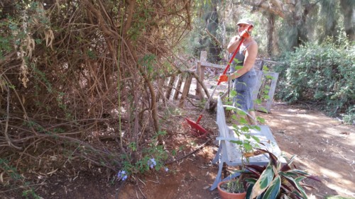 Israel Trip Fall 2016 - Day 15 Cleaning Day at March of Life House 22 - The Crossover Project 20161011 115805 - The Crossover Project