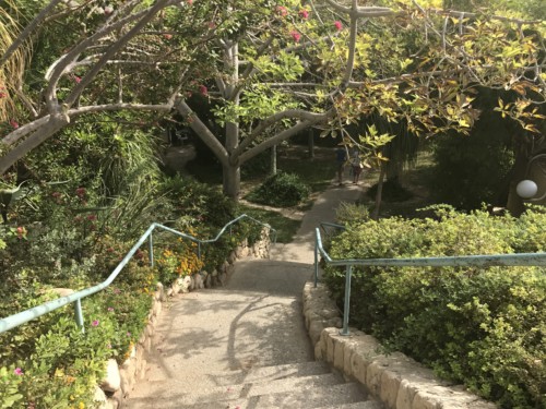 Israel Trip Fall 2016 - Day 20 Mountain Climbing, Oasis, and Sukkot in the Desert 54 - The Crossover Project Ein Gedi Path to Rooms Oct 16 2 22 25 AM - The Crossover Project