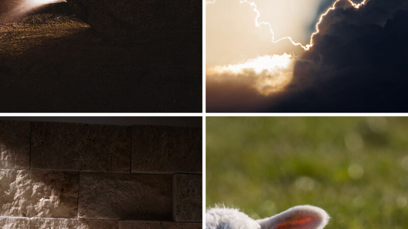 Yeshua and The Pesach A Journey Through Time - The Crossover Project