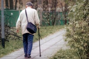 man, bag, walking stick, elderly, alley, plants, nature, leaves, autumn